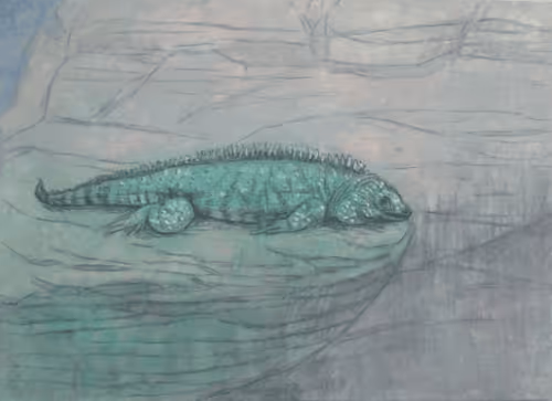 Item #72925079646173943955019179802066495558357068765344184678483369630945064779786 Media