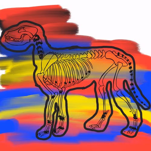 Item #66115251428437251400949335005857765940906863007353817121707627039635871367169 Media