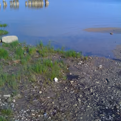 morning on the river