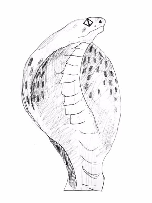 Item #21782199312368670970242189760663991903932470876849492131182457895638534193153 Media