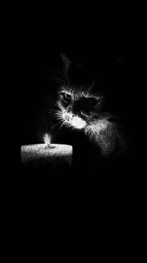 Item #20286817641922993541065929101952433978531825078991625494647867607491519971329 Media