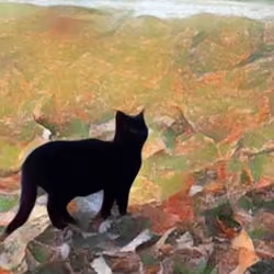 Autumn cat