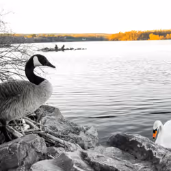 34050975843002366841675306618992214201728583656469935882455043168417439809537