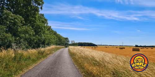 Item #35863194083128256797647772425284652682645032595179500226087347109825781694465 Media