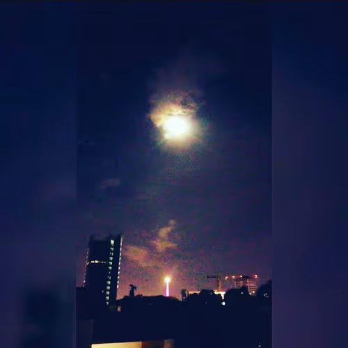 Item #4887402415049438691079330094692924037485154204121200194258392896255924633601 Media