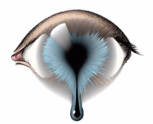 Item #47993365230904546224908061961898398429308184507692648287352000335513603014657 Media