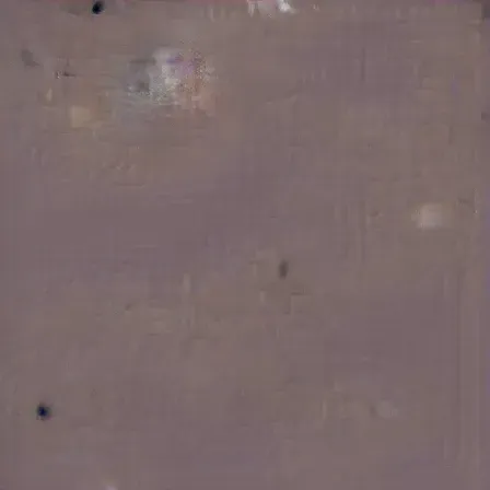 Item #69582821610154797198649513452028805967157135500521546609678814667315936755713 Media