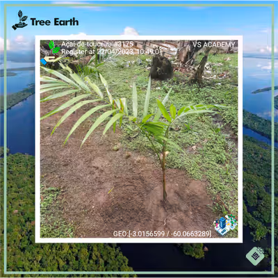 Item #8500196597889277390194123329501889087166328879864934763448349351481895288833 Media