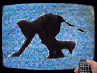 Item #36049036210915542891603514203013099125599246175484305955535372032362808344577 Media