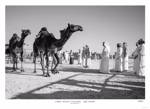 Item #14498336299239483503881613585431548073897809246895926655081837014378392584193 Media