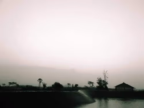 Item #84322506984009659559923408772288194812278509415660143482754304575222142992385 Media