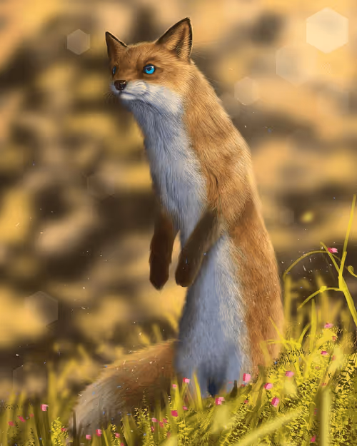 Item #92653617760102030904218862550610393359558394307813449742985135112776694366209 Media