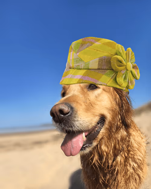 Item #26839399415497039076862880694069072006331525189107682525417321788483133505537 Media