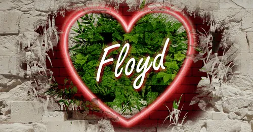 Item #68053287575525751288269231675427811746861684968250582901590729421009323032586 Media