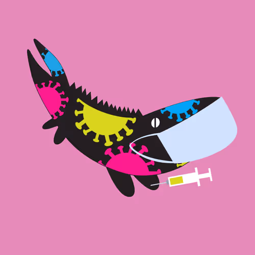 Item #29485272250961857379266115768138716497170988919323258782725670961372251291649 Media