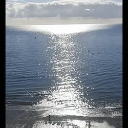 98740453290811822398877313969343136752810822009467134313286559796451239526401