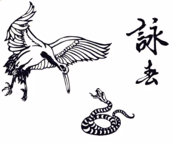 Wing Chun Kung Fu
