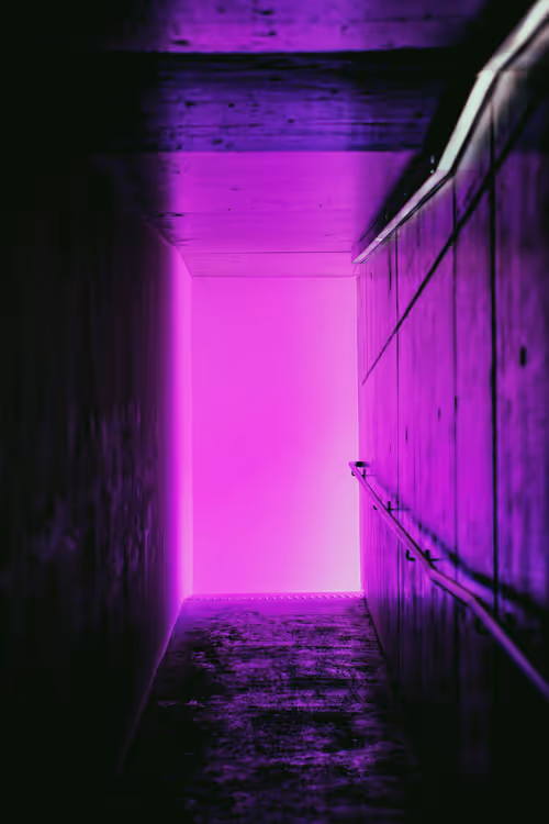 Item #45576425564904372626892608315059614446222544919153294335331944296246784557057 Media