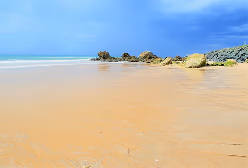 Item #61601413983432262200822046408210296549184035160504594584973518310582779904100 Media