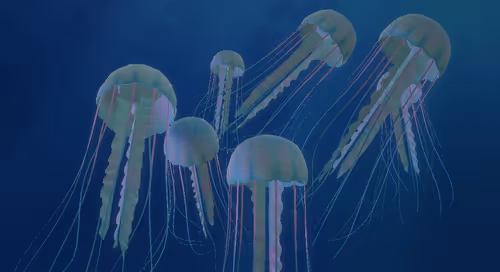 Item #41423174657448755454775180770704774351895892577704630438802697558868065517569 Media