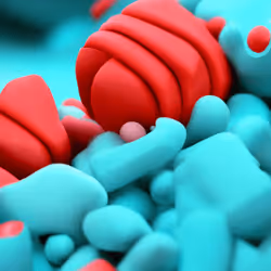 56681820197342161819819372651831042447314914966245969648562741685726390255617