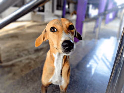 Untitled Collection #538950536