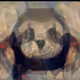 112406633863086468828532702034677954012958157917818415298433442986492447162369
