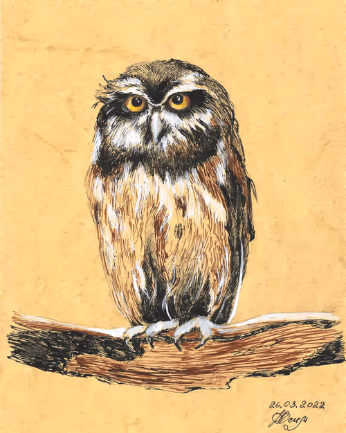 Item #272326784736274056950604951025850415985635919028263811604277027131197751297 Media