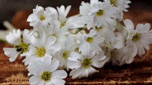 Item #75866091947728652238534111254584504918190435733442380629681527344953372442625 Media