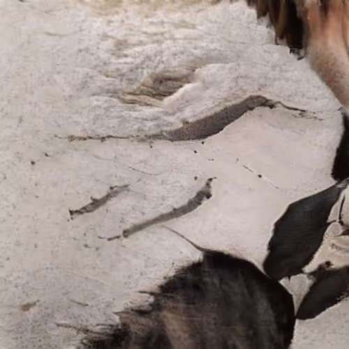 Item #58241160855422744817468407088196322100109565521561100950236906852107948130305 Media