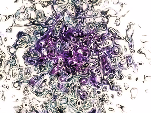 Untitled Collection #75139653