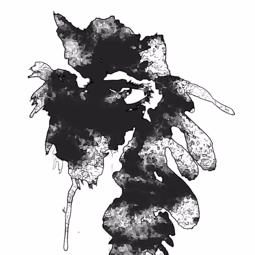 Item #33059720474579440071362761926536159504135811007114874956260326012558789050369 Media