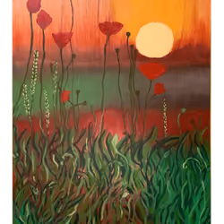 Poppy sunset