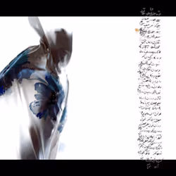 95575514500111913093890814354532773421406488945335758495878246169975661264897