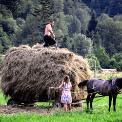 Ukrainian Farmer