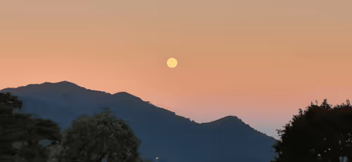 Item #67861325628159038088837015362560140858194589244017244618959753761832612921345 Media