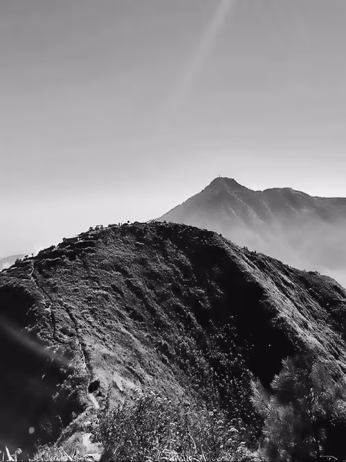 Item #31624274509119207472621893609913632294592170804295754614641563333877877964801 Media