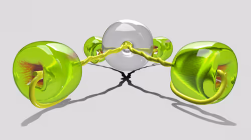 Item #8050559490775205250943300498862463034494311794526142362786942665292318244865 Media