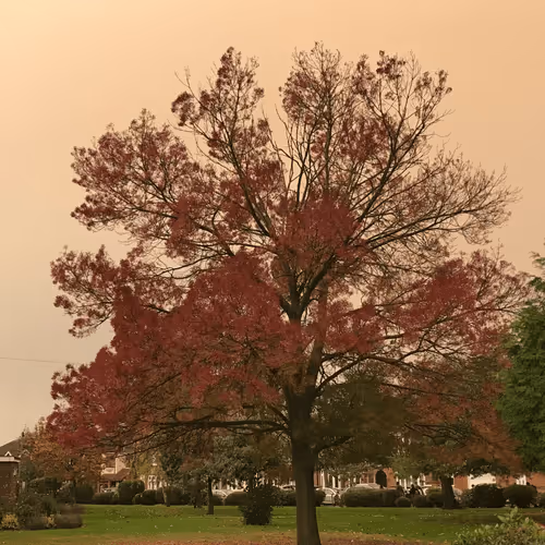 Item #82712815971244092813465389762182899895907359824221698107808348032342708715521 Media