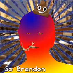 21688527815507990779780435242269546376679550267989735943769093277811271008257