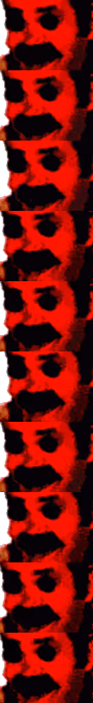 Item #69531658349415790098570300352888334840942294895414769682305636286489576865793 Media