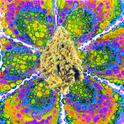 13955282856406335165414100891374623718709547313428947888299033908777811181578