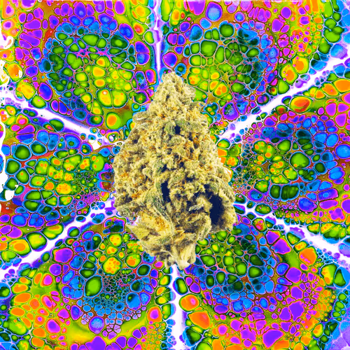 13955282856406335165414100891374623718709547313428947888299033908777811181578