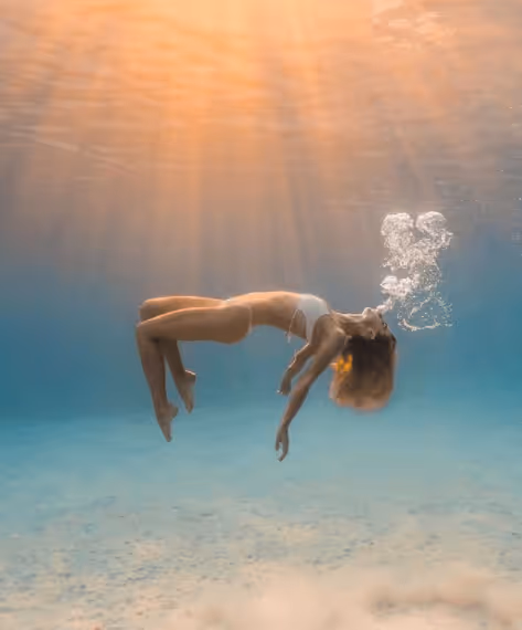 Item #101528073781406697475099613941177707799304664737776677206335620874229749121025 Media