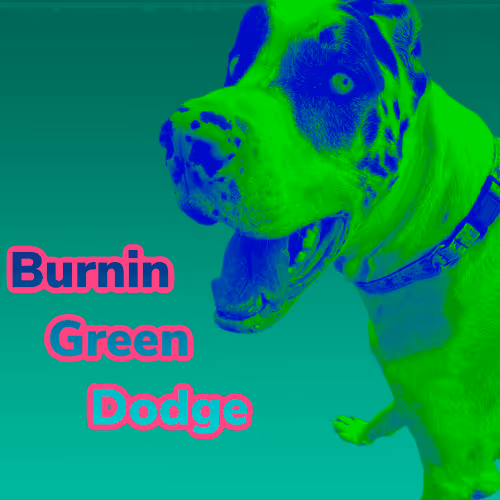 Item #15794007923744964589463280162252880392984187578375107792652798246594080145409 Media