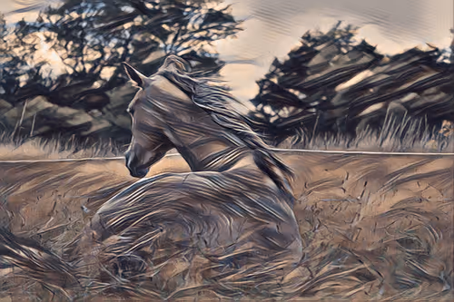 Item #54593652383459731767777383320415424164820202733853921615926635526620847276033 Media