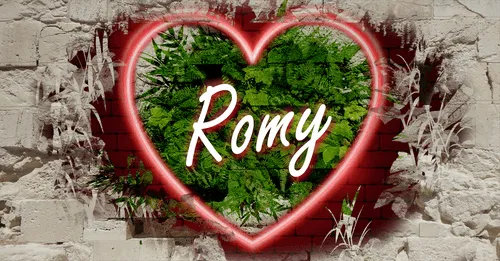 Item #68053287575525751288269231675427811746861684968250582901590729554050229993482 Media