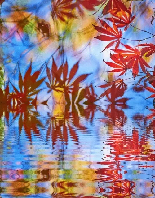 Item #33273431064062745158281459223994481396408298461003960329838769741510043762693 Media