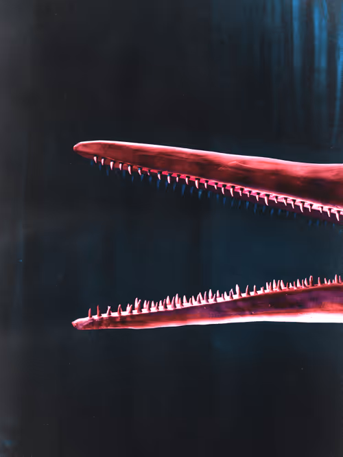 Item #111363445985459293616531591418406222693866722477509914610744344970217130033153 Media