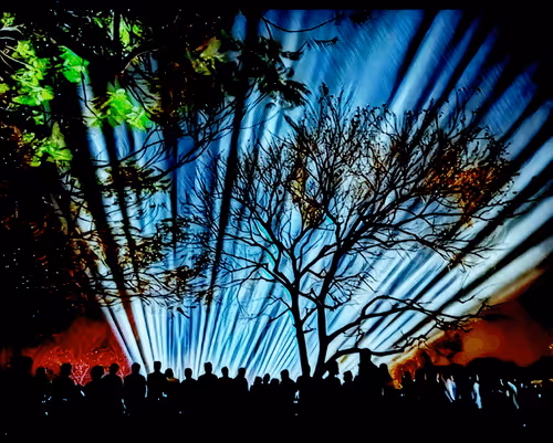 Item #72043135029047436436389121847393984294793642499410776983983276966171828551681 Media